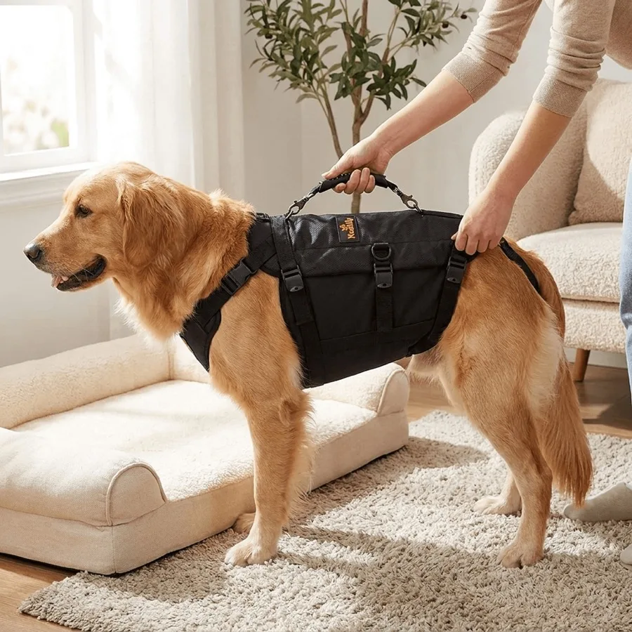 Pet Brands AI product photography example